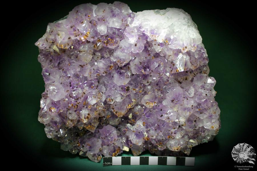 Amethyste XX with Goethite XX (1338) a mineral from Brazil | Minerals | Global