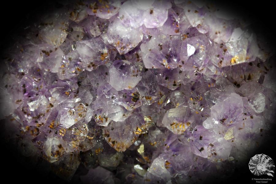 Amethyst XX mit Goethit XX (1338) ein Mineral aus Brasilien | Mineralien | Weltweit