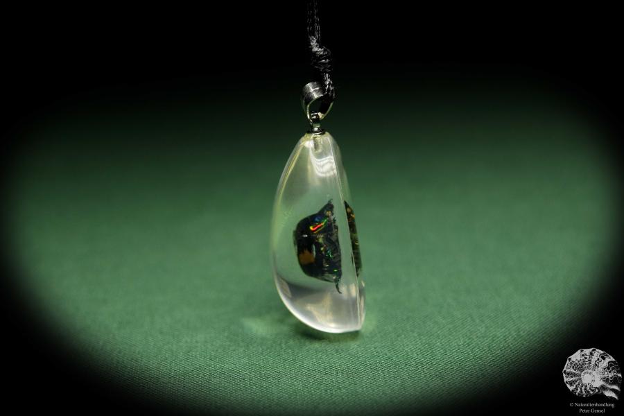 Popillia flavosellata (13831) a gem from Acrylic from China | Nature jewelry | From Acrylic