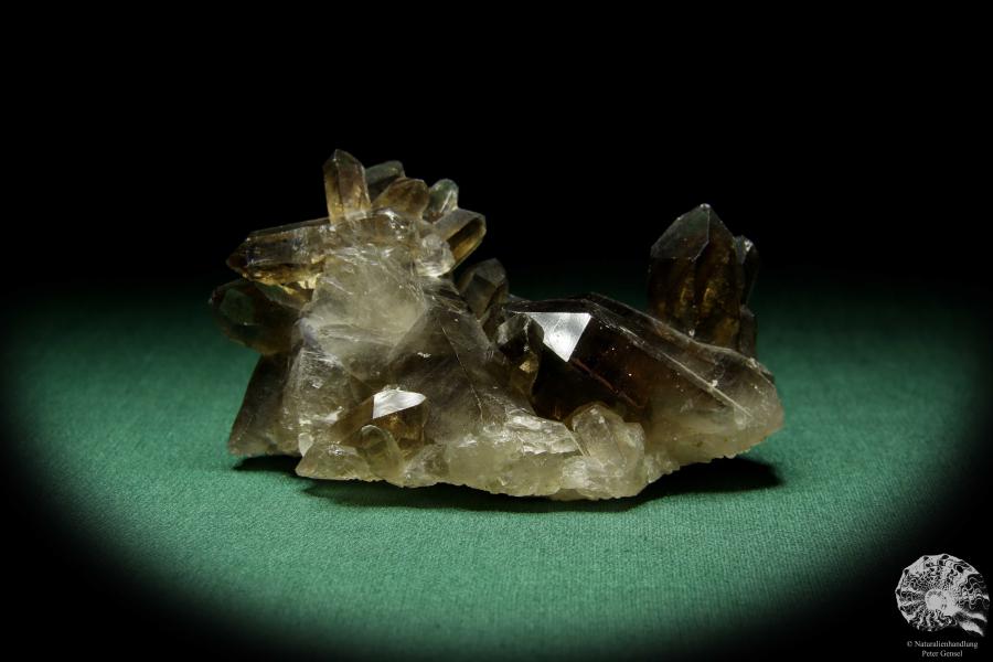 Rauchquarz XX (15041) ein Mineral aus Kasachstan | Mineralien | Weltweit