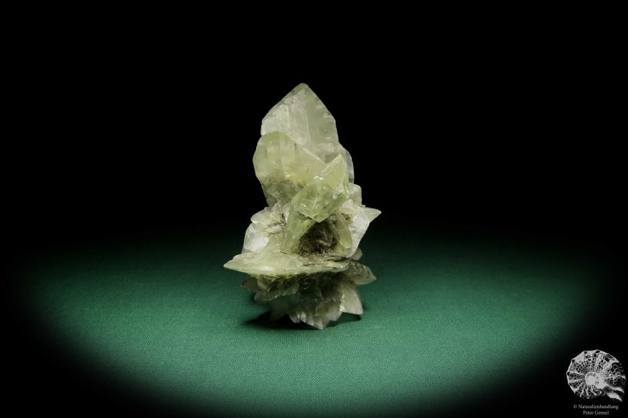 Gypsum XX (15045) a mineral from Germany | Minerals | From Germany