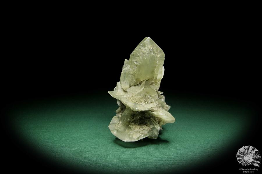 Gypsum XX (15045) a mineral from Germany | Minerals | From Germany