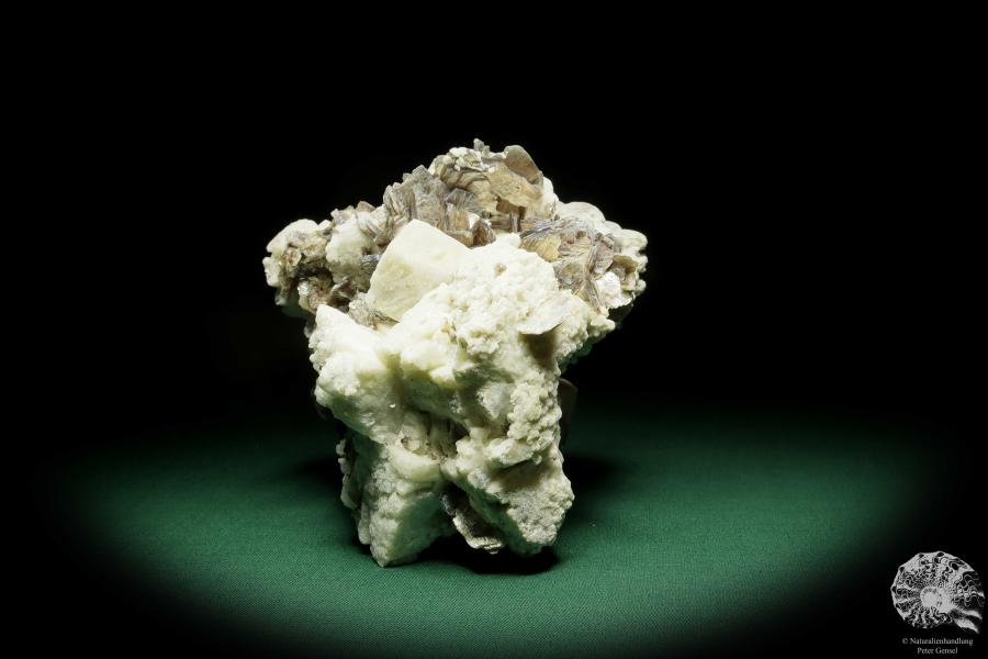 Muskovit XX auf Albit XX (15053) ein Mineral aus Südamerika | Mineralien | Weltweit