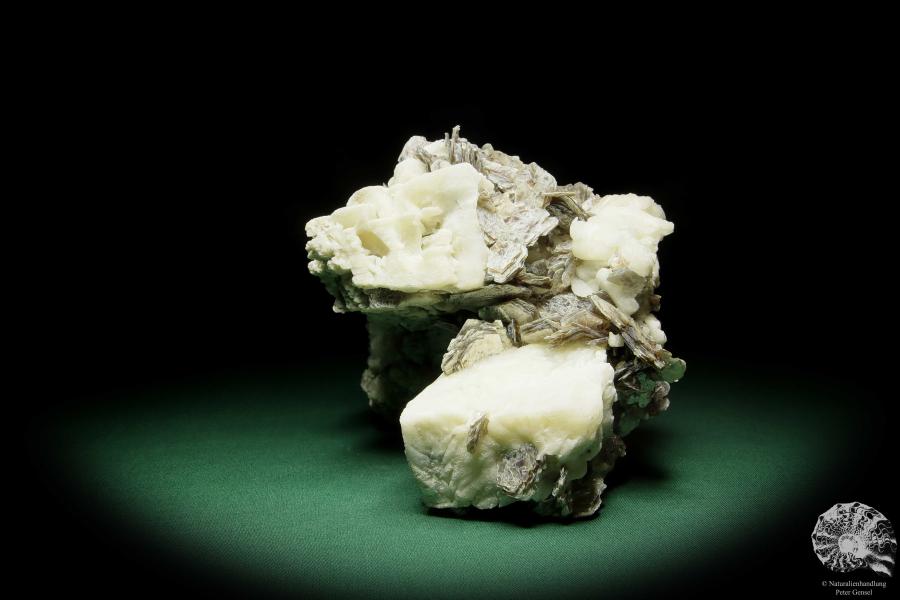 Muskovit XX auf Albit XX (15053) ein Mineral aus Südamerika | Mineralien | Weltweit