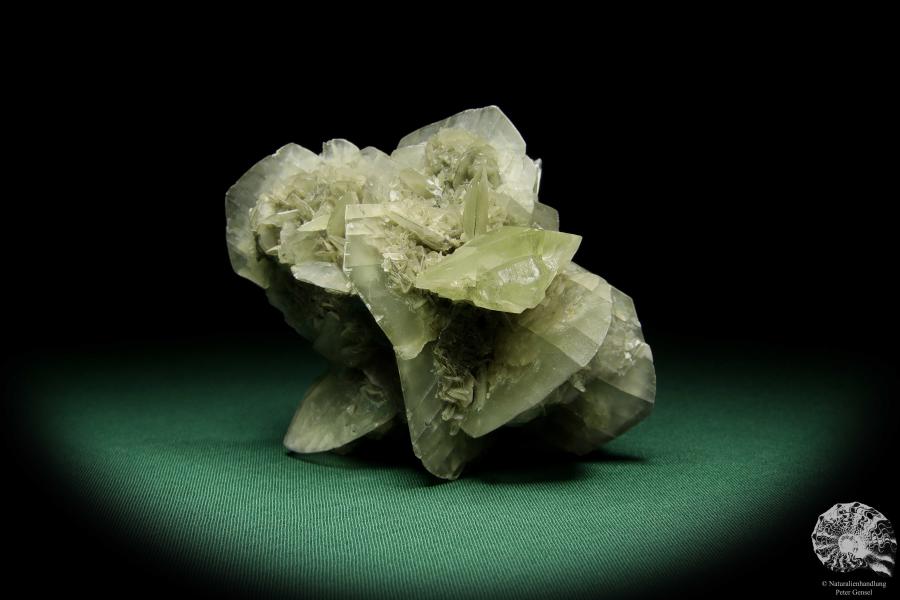 Gypsum XX (15058) a mineral from Germany | Minerals | From Germany