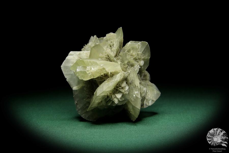 Gypsum XX (15058) a mineral from Germany | Minerals | From Germany