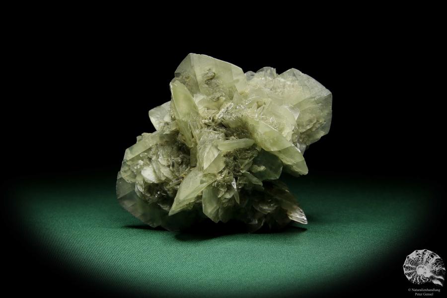 Gypsum XX (15058) a mineral from Germany | Minerals | From Germany