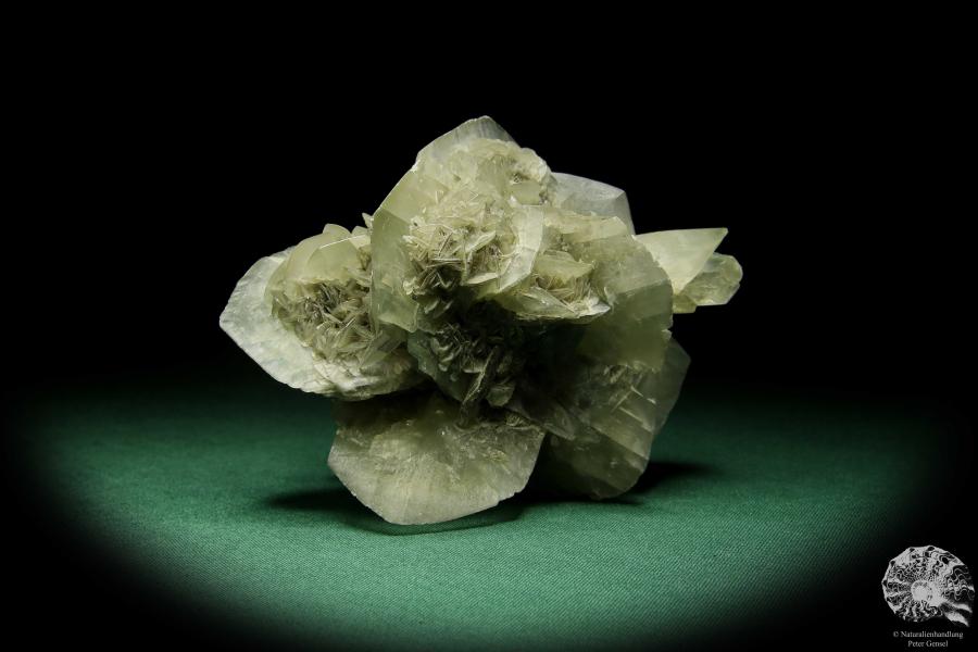 Gypsum XX (15058) a mineral from Germany | Minerals | From Germany