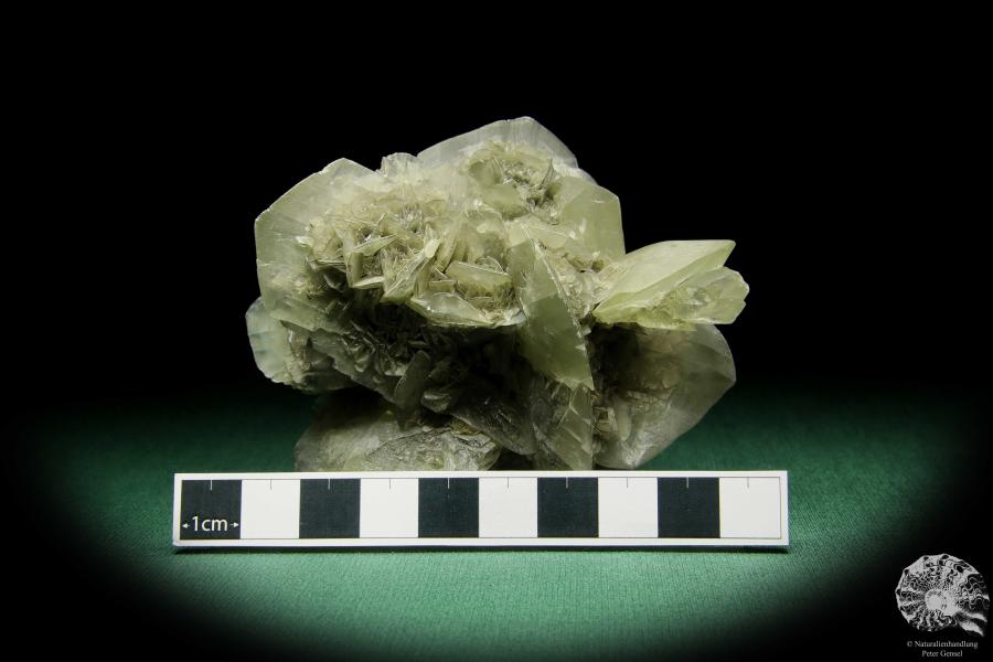 Gypsum XX (15058) a mineral from Germany | Minerals | From Germany