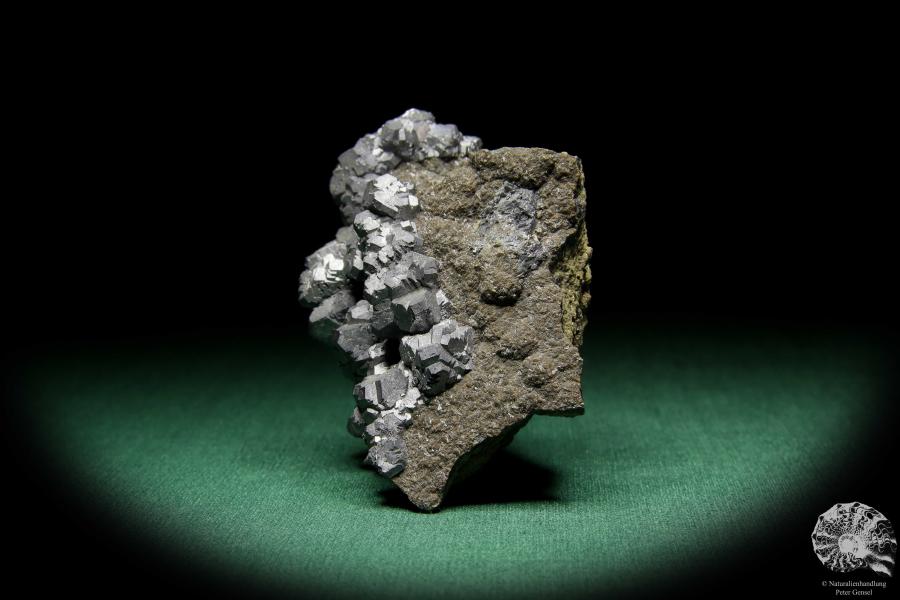 Galenit XX (15071) ein Mineral aus Polen | Mineralien | Weltweit