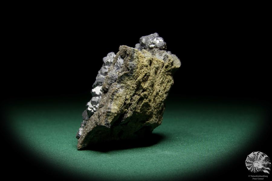 Galenit XX (15071) ein Mineral aus Polen | Mineralien | Weltweit