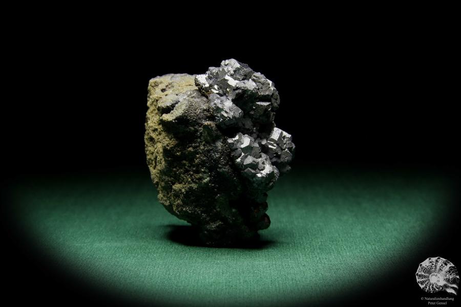 Galenit XX (15071) ein Mineral aus Polen | Mineralien | Weltweit