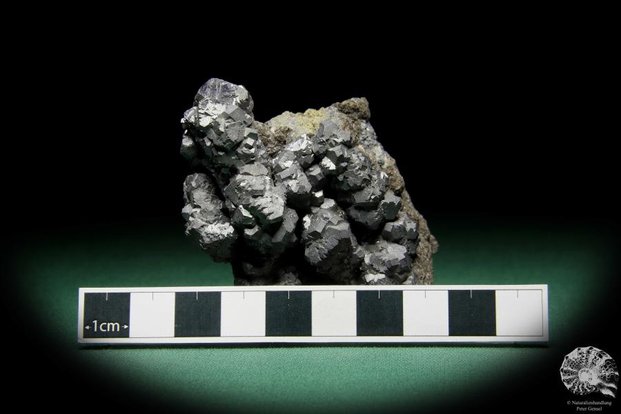 Galenit XX (15071) ein Mineral aus Polen | Mineralien | Weltweit