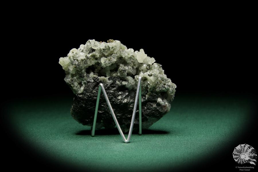 Markasit XX auf Quarz XX (15072) ein Mineral aus Tschechien | Mineralien | Weltweit