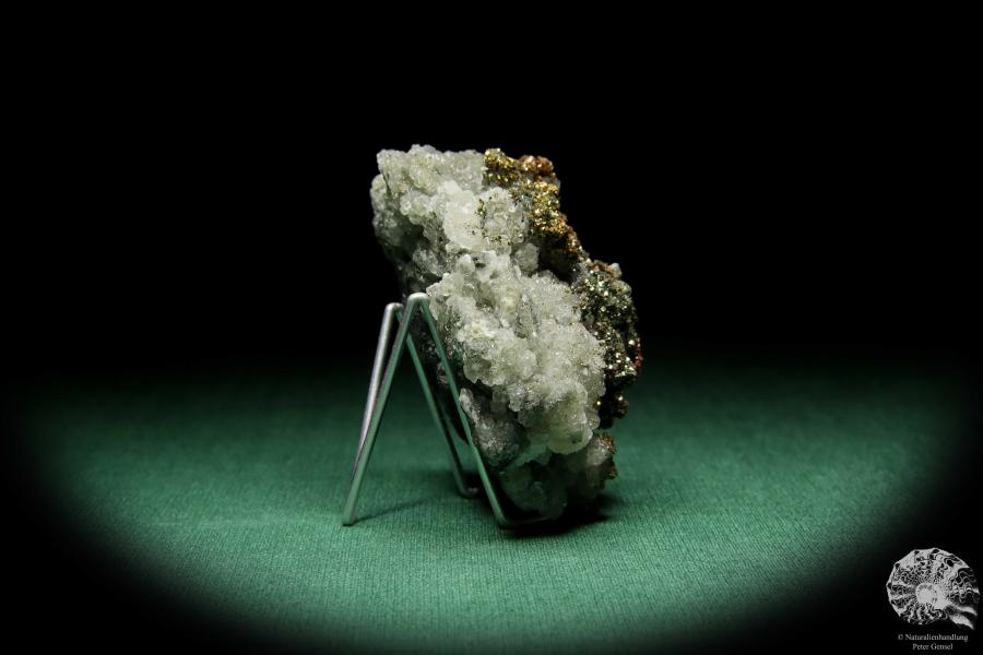 Markasit XX auf Quarz XX (15072) ein Mineral aus Tschechien | Mineralien | Weltweit