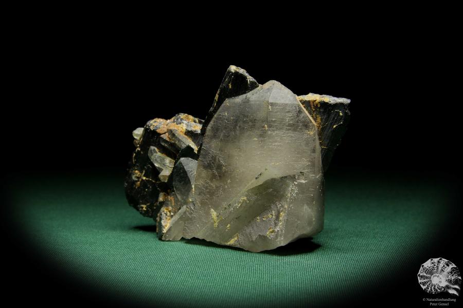 Wolframit XX & Quarz XX (15075) ein Mineral aus Kasachstan | Mineralien | Weltweit