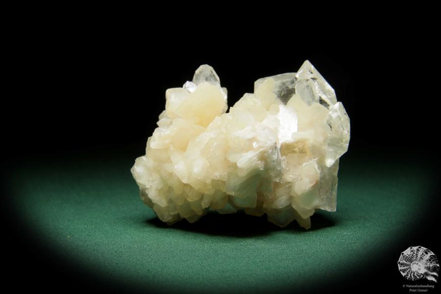 Desmine XX & Apophyllite XX (15077) a mineral from India | Minerals | Global