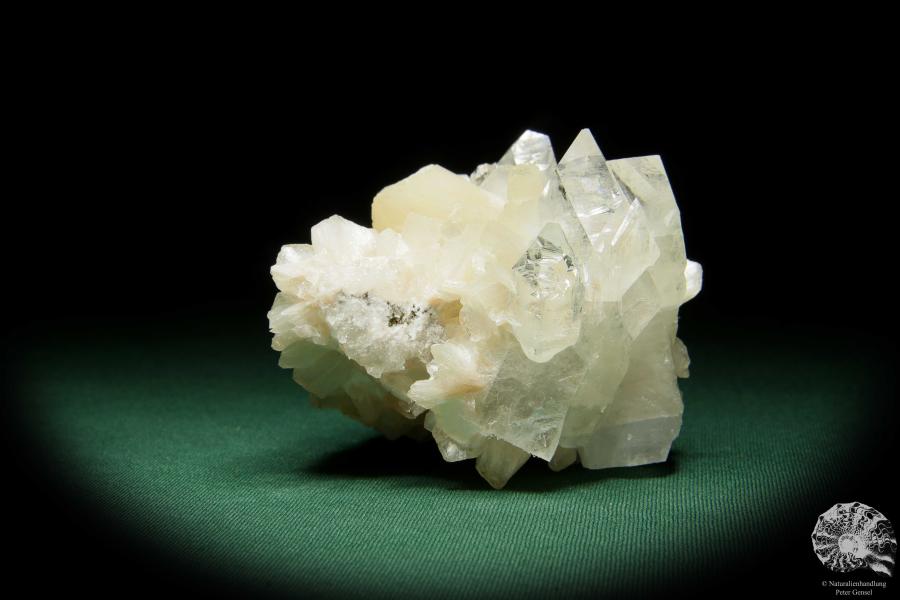 Desmin XX & Apophyllit XX (15077) ein Mineral aus Indien | Mineralien | Weltweit