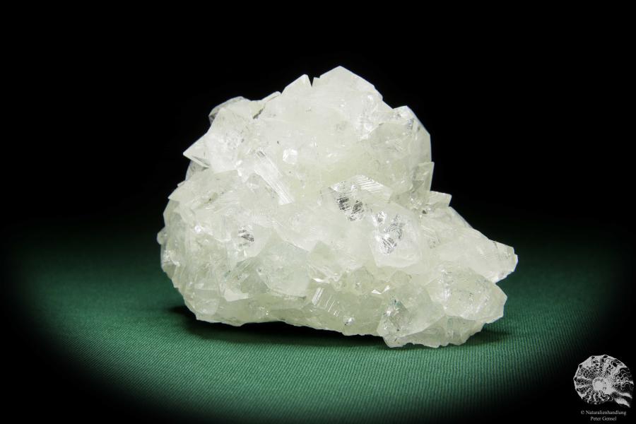 Apophyllit XX (15078) ein Mineral aus Indien | Mineralien | Weltweit