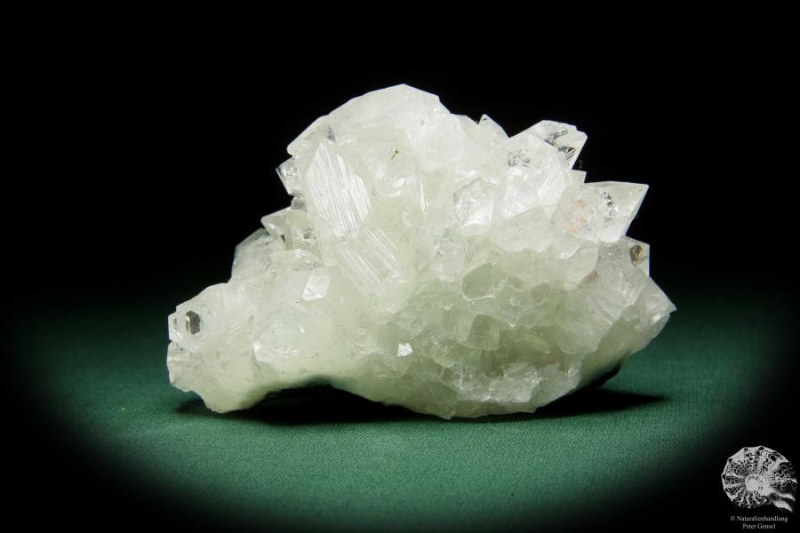 Apophyllit XX (15078) ein Mineral aus Indien | Mineralien | Weltweit