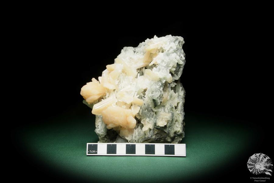 Quartz XX - Stalactites with Stilbite XX (15079) a mineral from India | Minerals | Global