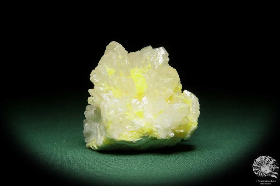 Coelestin XX und Schwefel (15080) ein Mineral aus Polen | Mineralien | Weltweit