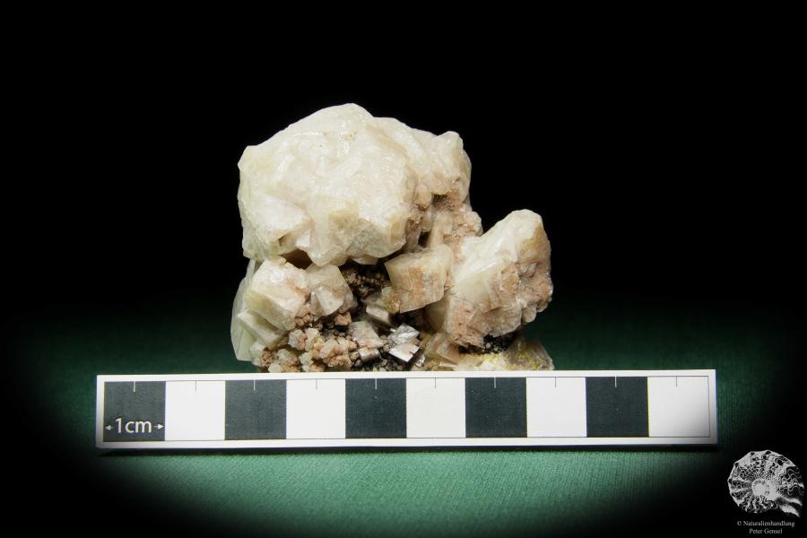 Mimetesit XX auf Dolomit XX (15082) ein Mineral aus Mexiko | Mineralien | Weltweit