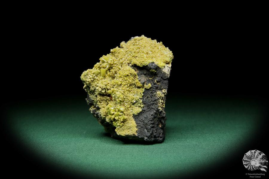 Pyromorphit XX (15087) ein Mineral aus Spanien | Mineralien | Weltweit