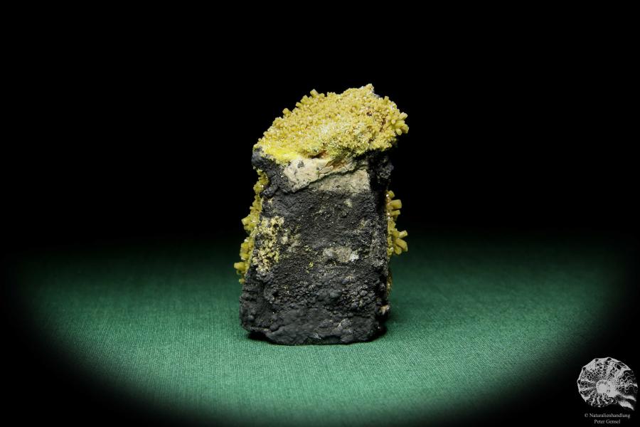 Pyromorphit XX (15087) ein Mineral aus Spanien | Mineralien | Weltweit