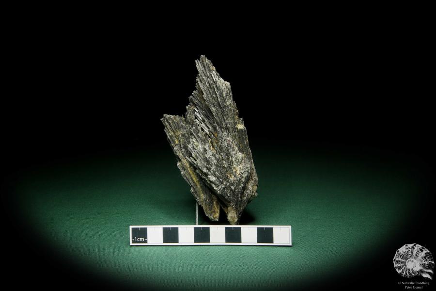 Disthen XX (15093) ein Mineral aus Südamerika | Mineralien | Weltweit