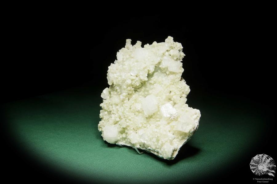 Apophyllit XX auf Prehnit XX (15094) ein Mineral aus Indien | Mineralien | Weltweit