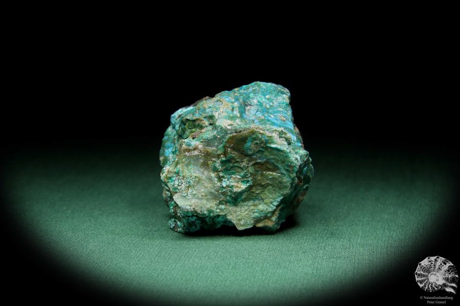 Chrysokoll (15577) ein Mineral aus Südperu | Mineralien | Weltweit