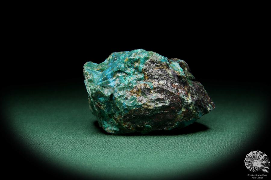 Chrysokoll (15577) ein Mineral aus Südperu | Mineralien | Weltweit