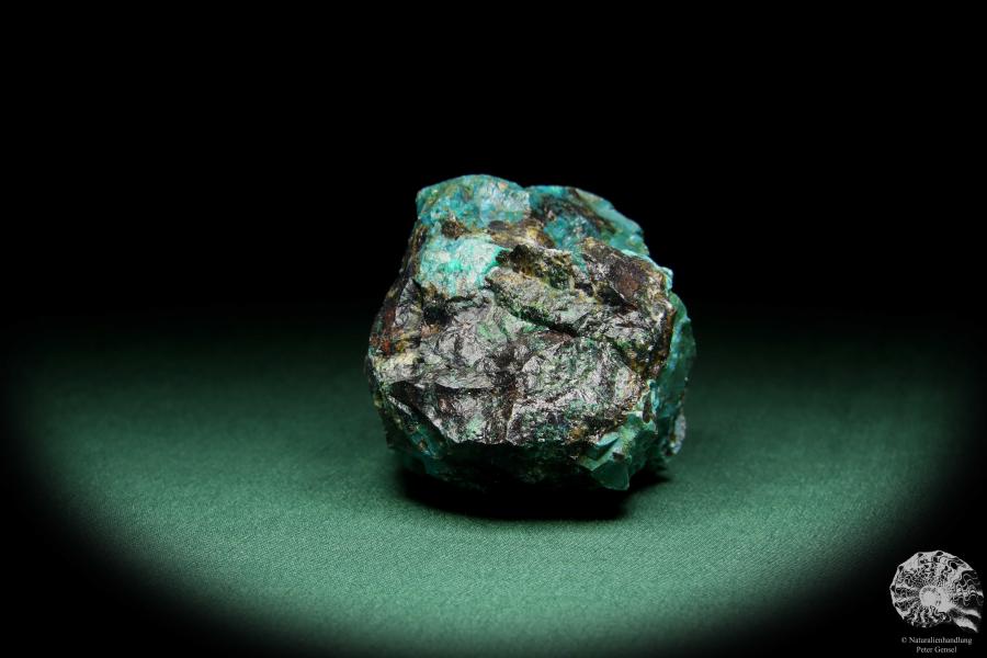 Chrysokoll (15577) ein Mineral aus Südperu | Mineralien | Weltweit