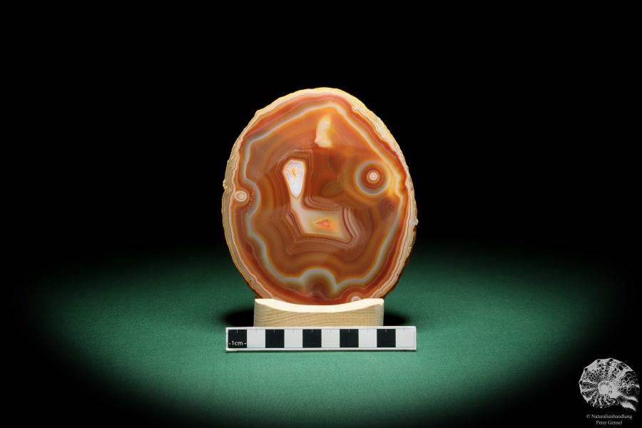 Agate Slice (16374) a mineral from South America | Crafts | From Minerals