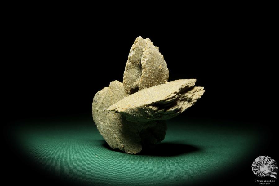 Gypsum XX (16842) a mineral from Namibia | Minerals | Global