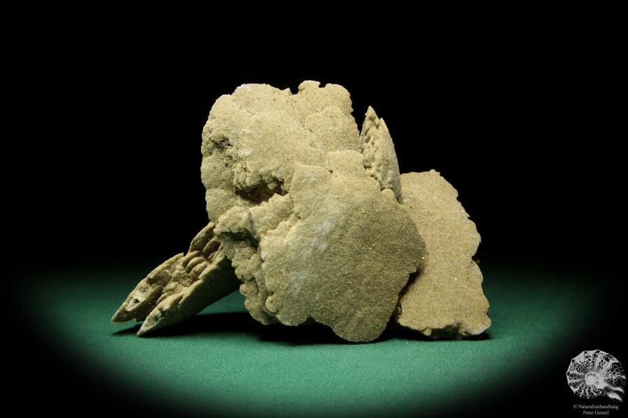 Gypsum XX (16843) a mineral from Namibia | Minerals | Global