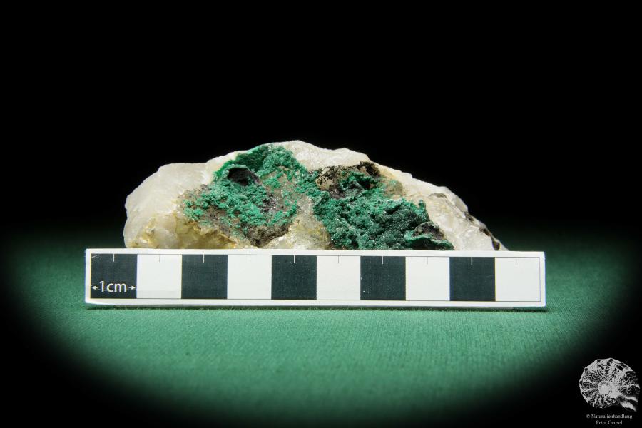 Pseudomalachite (16844) a mineral from Africa | Minerals | Global