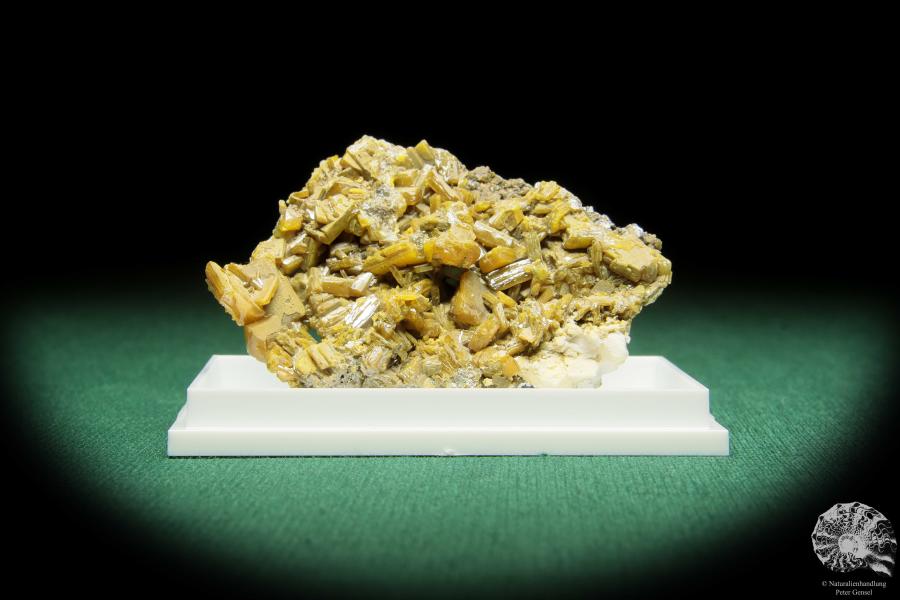 Wulfenit XX (16856) ein Mineral aus Slowenien | Mineralien | Weltweit