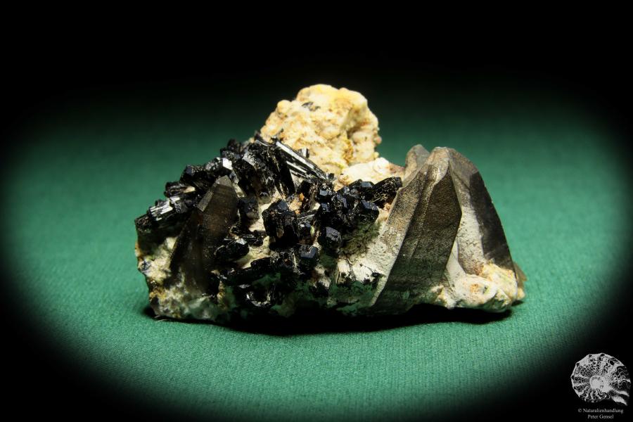 Smoky Quartz XX & Black Tourmaline (16866) a mineral from Namibia | Minerals | Global