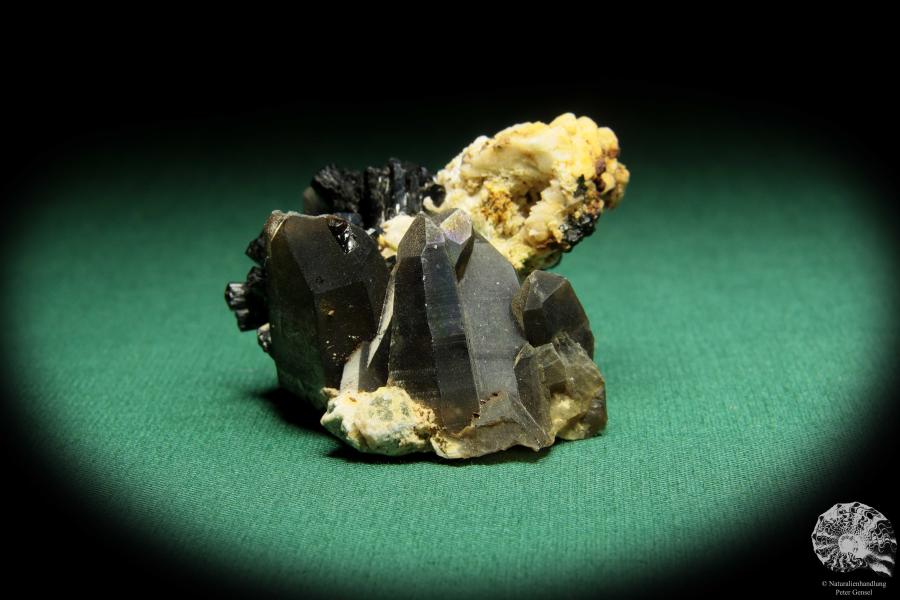 Smoky Quartz XX & Black Tourmaline (16866) a mineral from Namibia | Minerals | Global