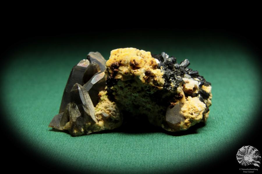 Morion XX & Schörl (16866) ein Mineral aus Namibia | Mineralien | Weltweit