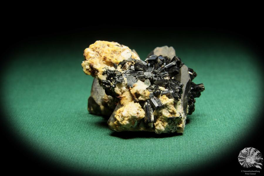 Morion XX & Schörl (16866) ein Mineral aus Namibia | Mineralien | Weltweit