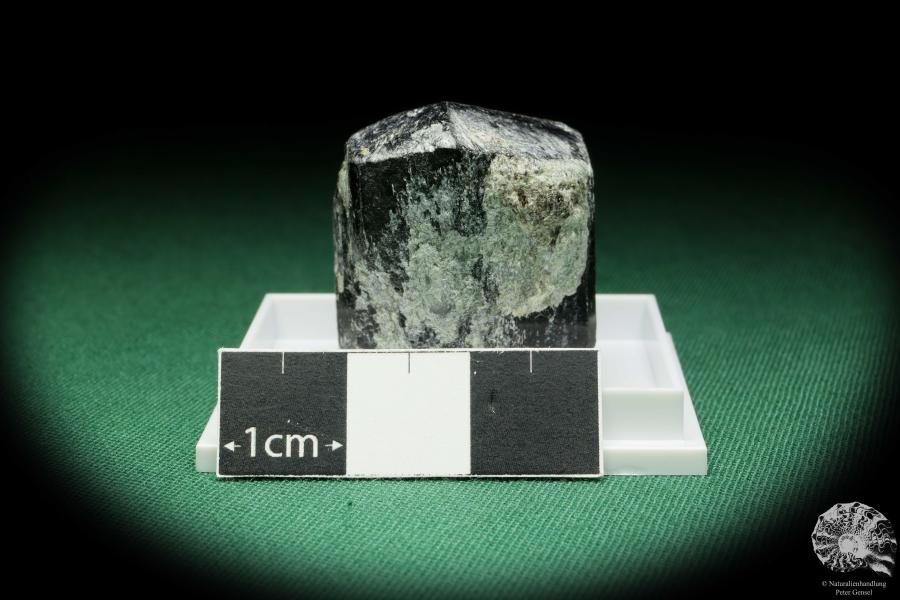 Schörl XX (17583) eine Kleinstufe aus Siehe Bilder | Mineralien | Kleinstufen