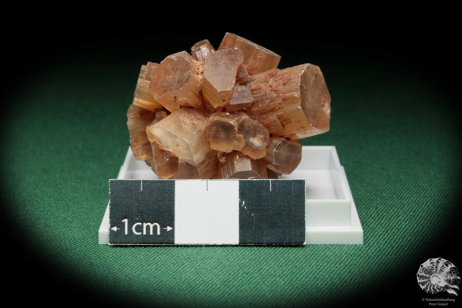 Aragonite XX (17990) a thumbnail from see pictures | Minerals | Thumbnails