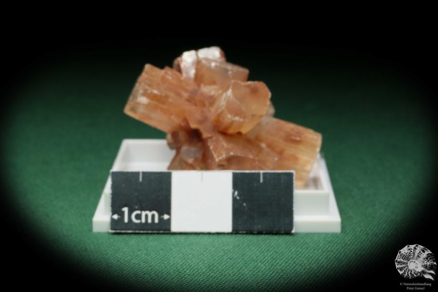 Aragonit XX (17991) eine Kleinstufe aus Siehe Bilder | Mineralien | Kleinstufen