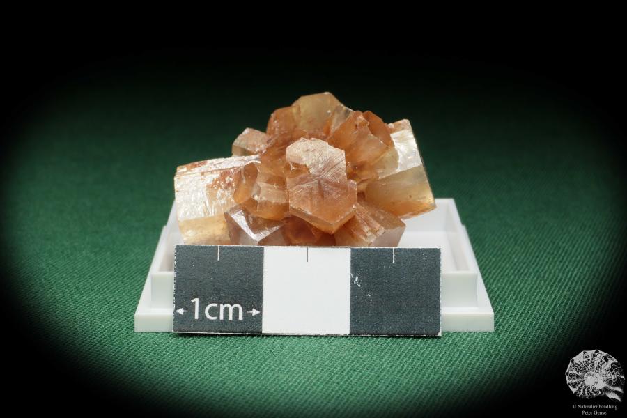 Aragonite XX (17998) a thumbnail from see pictures | Minerals | Thumbnails