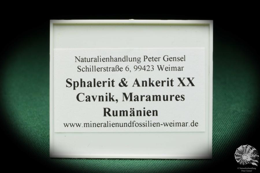 Sphalerit & Ankerit XX (18008) eine Kleinstufe aus Siehe Bilder | Mineralien | Kleinstufen