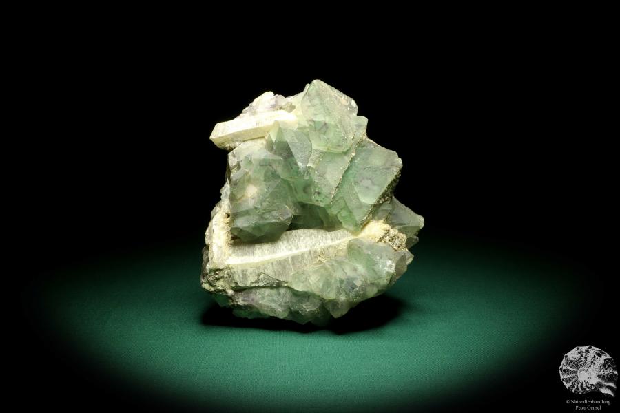 Fluorit XX auf Quarz XX (19656) ein Mineral aus Kasachstan | Mineralien | Weltweit