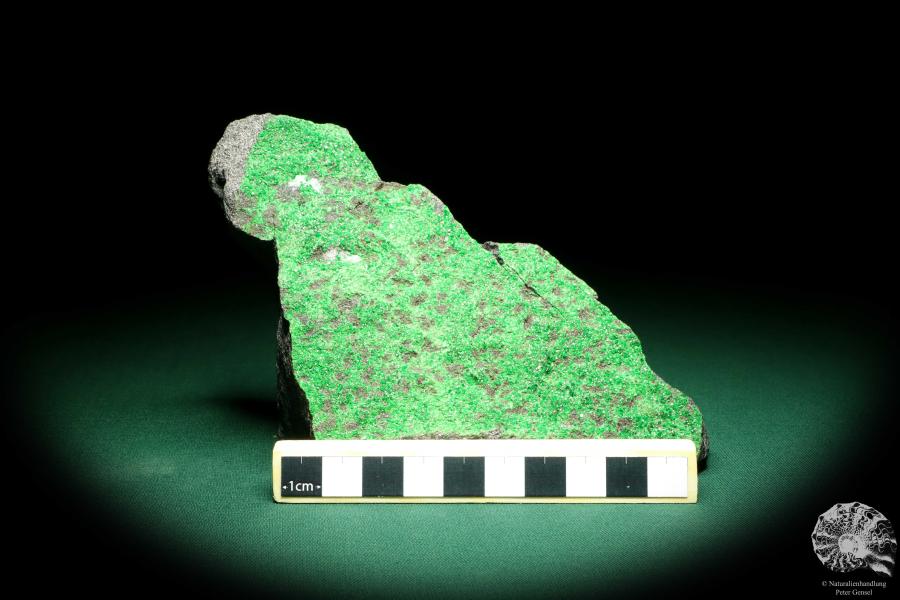 Uvarovite (19657) a mineral from Russia | Minerals | Global